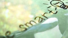 スマートスピーカーはビジネスの何を変える?中小企業が押さえるべき、できることの「分岐点」とは?