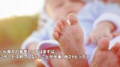 Web系ツール導入基準として忘れてはいけない「サービス終了の可能性」