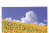 小さい会社のウェブに関わるなら、小規模企業白書は必読