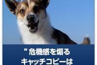 危機感を煽るキャッチコピーは常に効果的なのか?