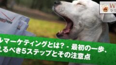 メールマーケティングとは? – 最初の一歩、押さえるべき5ステップとその注意点